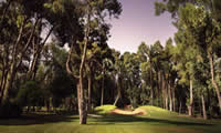 royal golf club